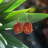 AMAZONIA ORGANICA RED