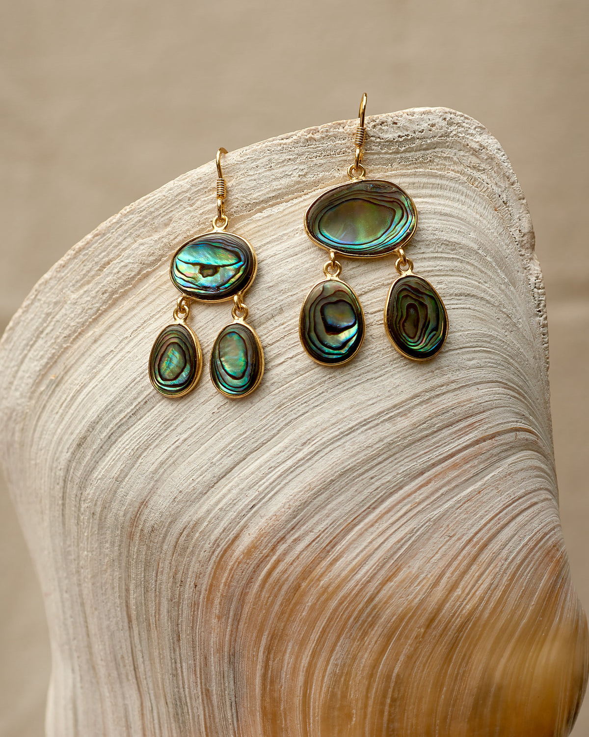 Amazonia Abalone Shell Earrings