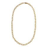 Amazonia Gold Link Necklace