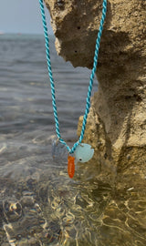 Amazonia Aqua Fish Charm